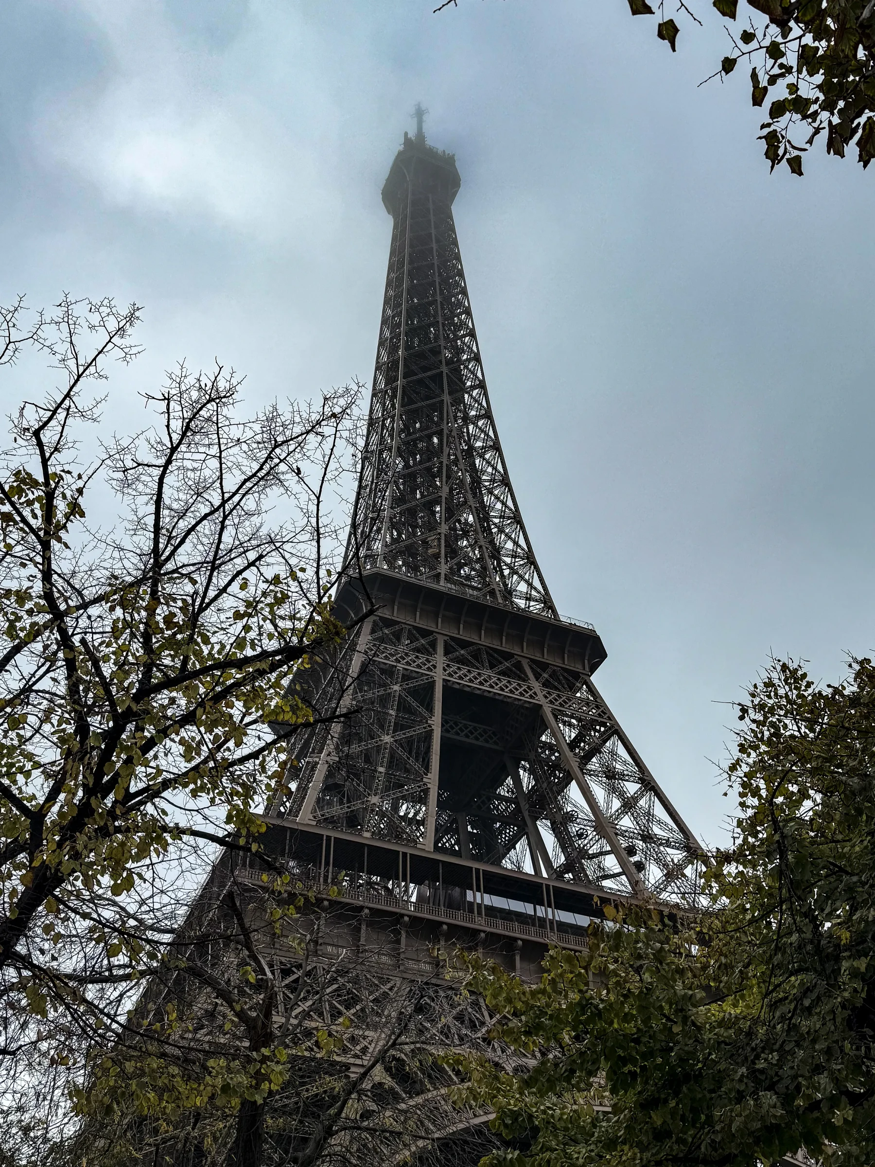 The Eiffel Tower seen from below through tree branches.