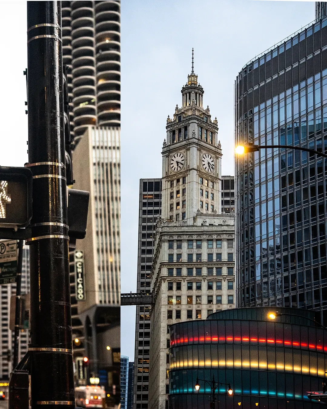Chicago buildings, including an ornate clock tower, seen from street level.