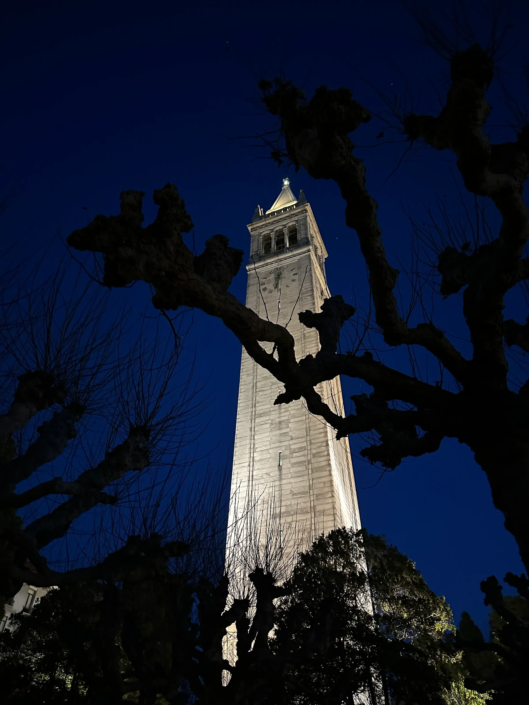 UC Berkeley's Campanile illuminated against a dark blue sky.